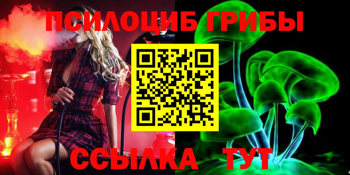 Галлюциногенные грибы прущие грибы Кирово-Чепецк