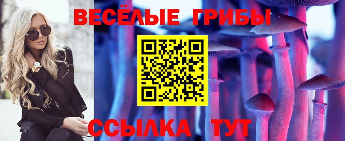 где найти наркотики  Псилоцибиновые грибы ЛСД  Вход с VPN  Кирово-Чепецк 